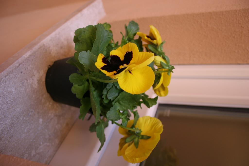 Note Sulla Piazza Bed & Breakfast Cagliari Exterior foto